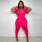 "What You Want" Elegant One - Piece Jumpsuit - Lavish Extensions